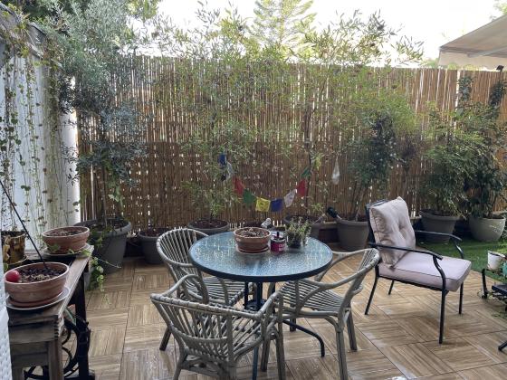 לוי אשכול 20