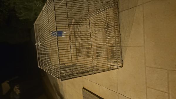 מציאה כלוב תוכים אם