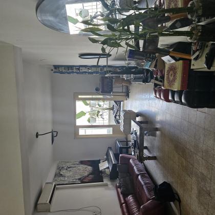 המבוא (שיינקין)