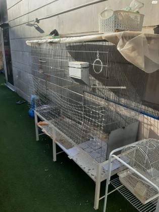 כלוב גדול מידות: 150×46 גובה