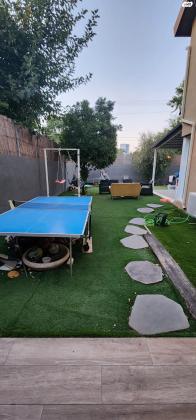 השיקמים 50 (רמתיים)