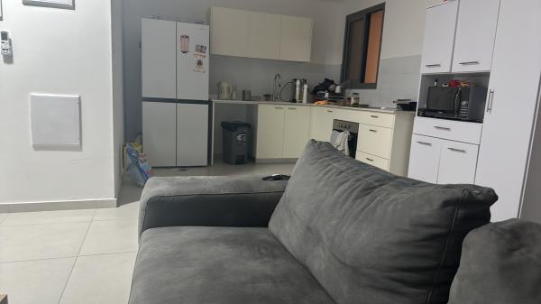 דוד דנינו 3 (השופטים)