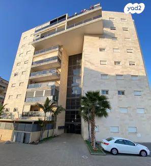 אריה צימוקי 2