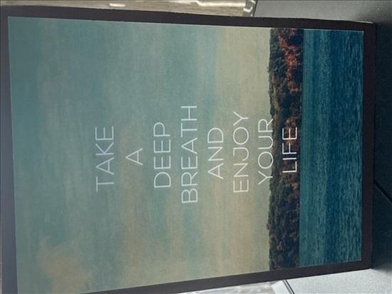 דירת סטודיו 1 חדרים להשכרה בפלמחים | קיבוץ. פלמחים | קיבוץ