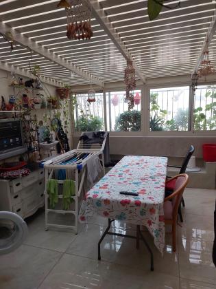 הסיגלית 6 (גילה)