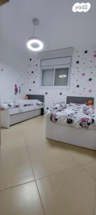 אריה צימוקי 2