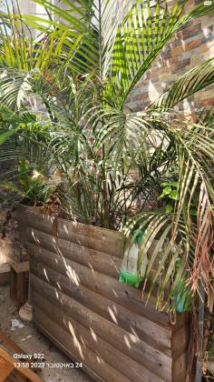 הגליל 9 (עמידר;ניצנה)