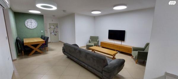 אריה צימוקי 2