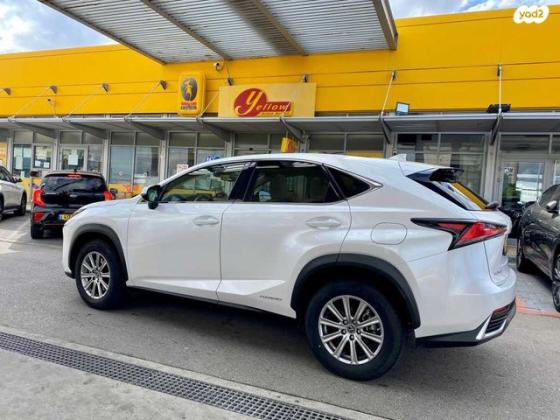 לקסוס NX 4X4 NX300H Premium הייבריד אוט' 2.5 (155 כ''ס) בנזין 2020 למכירה בחולון
