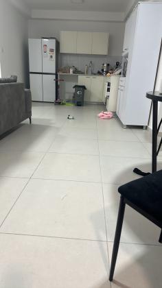 דוד דנינו 3 (השופטים)