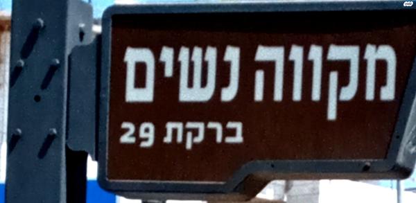 ברקת 31