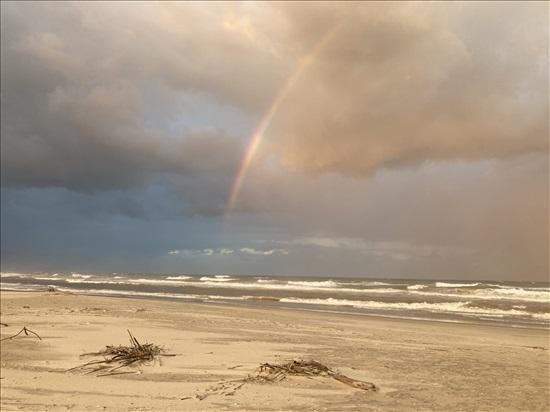 דירת סטודיו 1 חדרים להשכרה בפלמחים | קיבוץ. פלמחים | קיבוץ