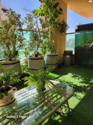 דוד ניב 3 (נווה זאב)