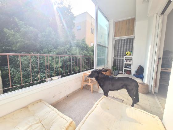 יוחנן הורקנוס 26 (הצפון הישן החלק הצפוני)