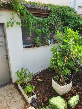 קהילת לבוב 16 (הדר יוסף)