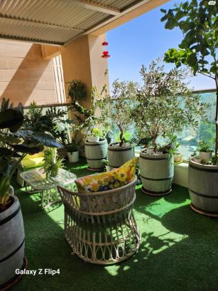 דוד ניב 3 (נווה זאב)