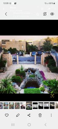 הכפיר 239 (מנחת)