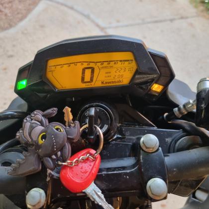 קאוואסאקי Z250 (2017)