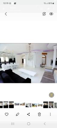 הכפיר 239 (מנחת)