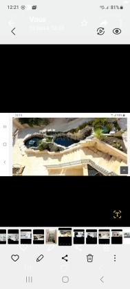 הכפיר 239 (מנחת)