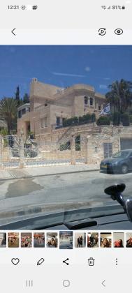 הכפיר 239 (מנחת)