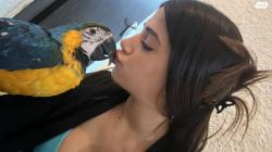 סיאט איביזה Reference אוט' 5 דל' 1.6 (105 כ''ס) בנזין 2009 למכירה בעכ