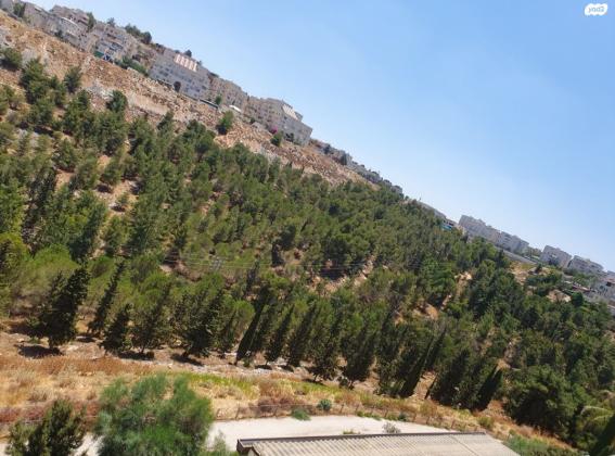 מזל אריה 8 (פסגת זאב צפון)