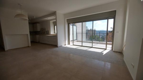 דוד שמעוני 45 (רסקו(גבעת הורדים))