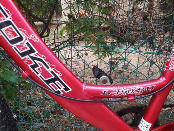 אופני נשים ה EVOKE L