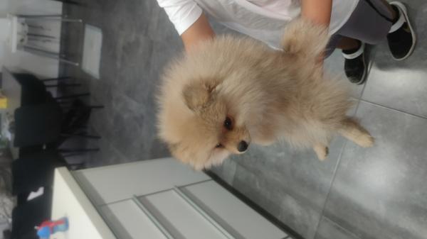 גור מאוד חמוד אחרי כול