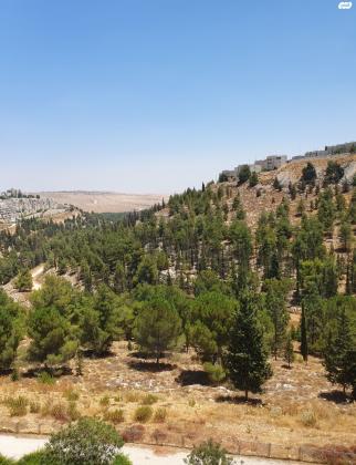 מזל אריה 8 (פסגת זאב צפון)