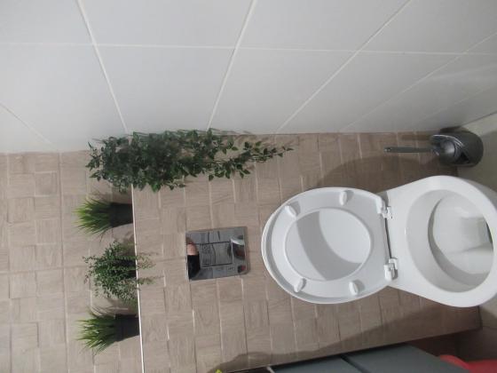 רבי עקיבא (גבעת סוקולוב)