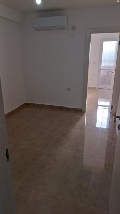 ארץ חפץ 102 (שמואל הנביא)