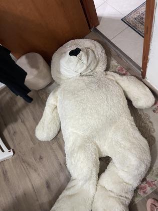 דובי גדול 60 ס״מ על 200 ס״מ דובי גדול