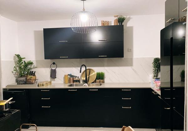 האנפה 309 (גילה)