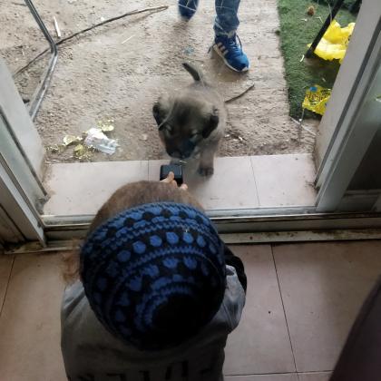 גורה ממש חמודה