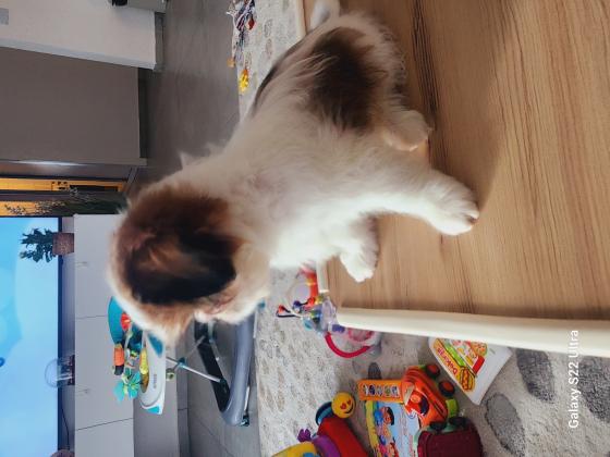 היא בת חודשיים וחצי אני