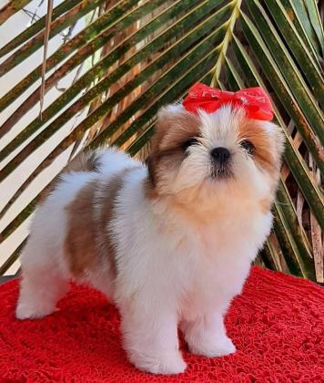 היא בת חודשיים וחצי אני