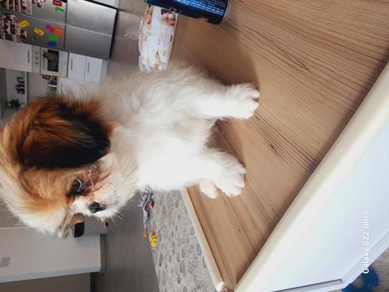 היא בת חודשיים וחצי אני