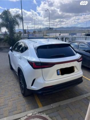 לקסוס NX NX350H Kyushu P הייבריד אוט' 2.5 (190 כ''ס) בנזין 2023 למכירה בקרית אתא