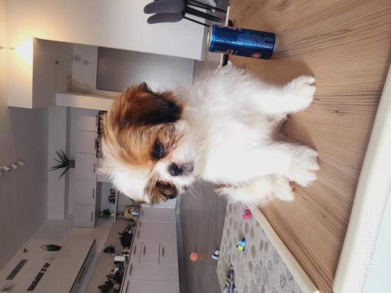 היא בת חודשיים וחצי אני