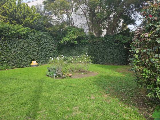 וולפסון 54 (מרכז העיר)