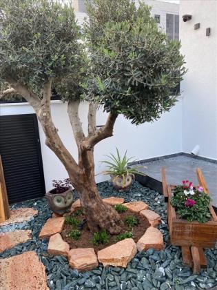 דו משפחתי 6 חדרים למכירה בקרית גת | לאה אמנו 14 | כרמי גת