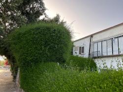 דירה 2 חדרים להשכרה בתל אביב יפו | יינון | בצרון