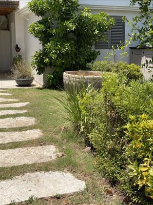 דירת גן 2 חדרים להשכרה בצופית | גפן