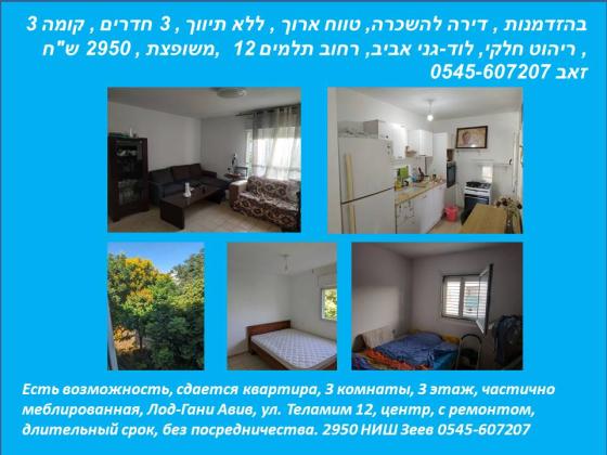 דירה 3 חדרים להשכרה בלוד | תלמים 12 | גני אביב