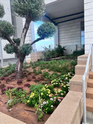 דירה 3 חדרים למכירה באשקלון | ‏דרך ארץ | ‏עיר היין