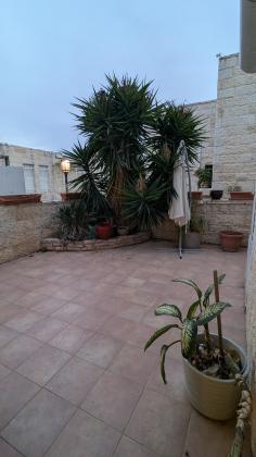 הכפיר 186 (מנחת)