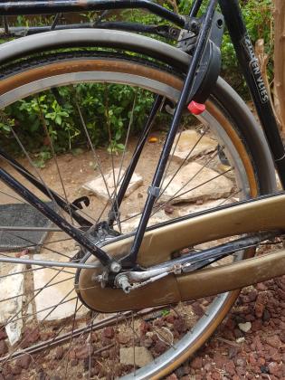 אופני נשים הולנדיות אמיתיים רטרו