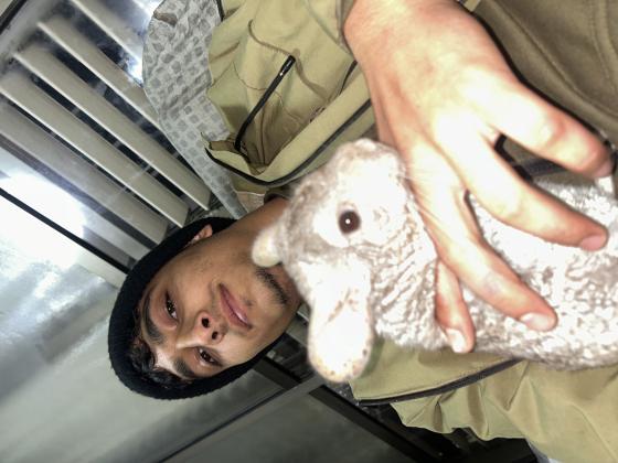 צ׳ינצ׳ילה עוד לא בת שנה